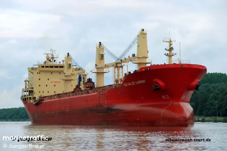 Dos buques graneleros operan en el puerto de Nueva Palmira