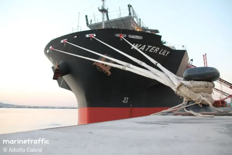 Logística: Movimientos en el puerto de Montevideo durante el fin de semana
