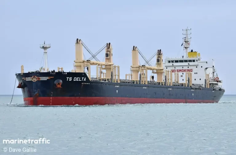 Dos buques graneleros arriban al Puerto de Montevideo este 27 de marzo