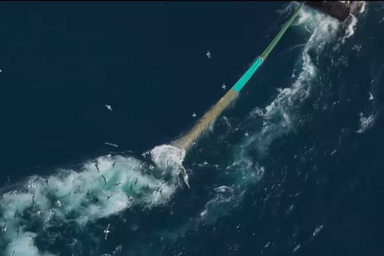 El daño de La Pesca de arrastre