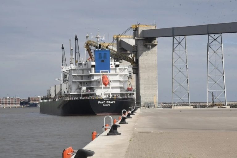 Uruguay embarca volúmenes récord de granos: la zafra se extiende hasta noviembre