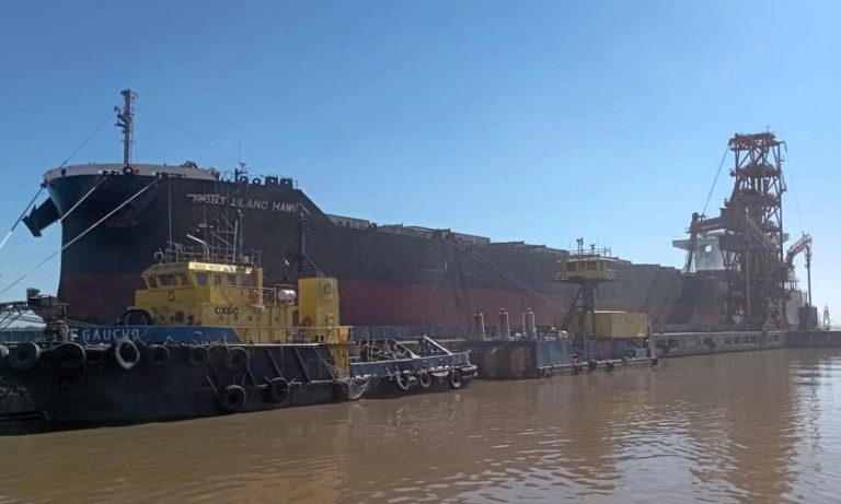 Primeros embarques de soja uruguaya parten desde Nueva Palmira rumbo a China