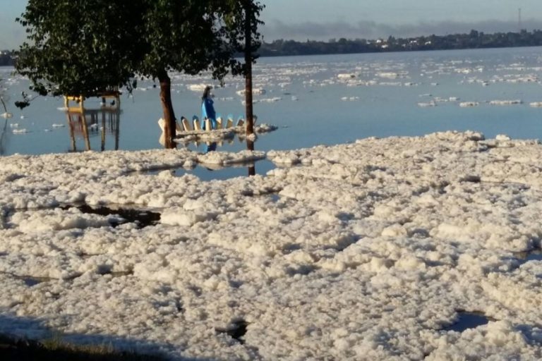 Río Uruguay: leve crecimiento y espuma natural en las costas de Salto y Concordia