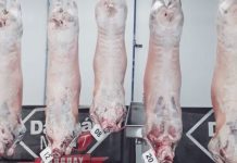 Uruguay impulsa las exportaciones de lana mientras la carne ovina retrocede