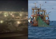 Pesca ilegal en la Milla 201: una amenaza ambiental y social en el Atlántico Sur