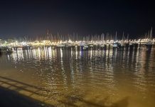 Noctilucas iluminan las costas de Punta del Este: un espectáculo natural para disfrutar este fin de semana