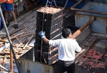 Abrió la temporada de pesca de camarón con nuevas condiciones y límites para la zafra 2026