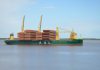 Operación logística inédita: arribo de 16 nuevas barcazas al puerto de Nueva Palmira
