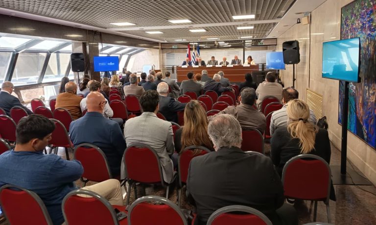 El Puerto de Montevideo proyecta alcanzar los 14 metros de profundidad, pero enfrenta desafíos de costos y volumen de carga