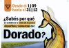 Continúa vigente la veda de pesca del Dorado en el río Uruguay