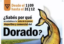 Continúa vigente la veda de pesca del Dorado en el río Uruguay