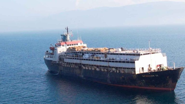 Barco con casi 3.000 bovinos retorna hacia Uruguay tras un mes varado en Turquía