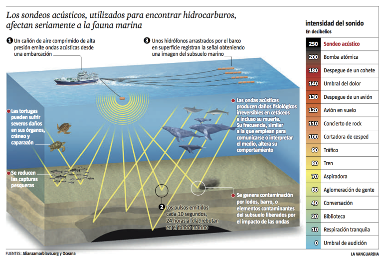 Prospección sísmica: colectivos ambientales cuestionan las autorizaciones y convocan a una movilización nacional el 15 de diciembre
