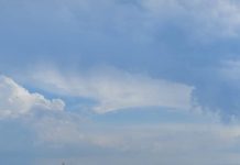 MINTUR y ANP coordinan acciones para optimizar el servicio de pasajeros en los puertos de Colonia y Montevideo