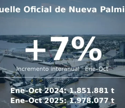 La movilización de mercaderías en el puerto de Nueva Palmira creció un 7% en 2025