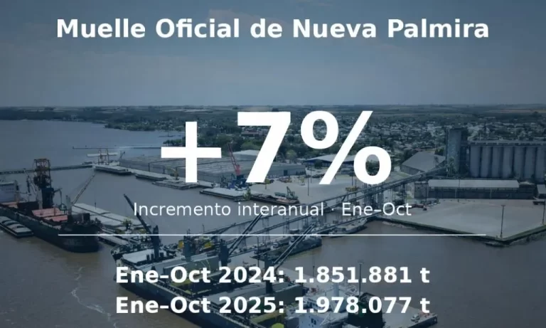 La movilización de mercaderías en el puerto de Nueva Palmira creció un 7% en 2025