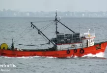 Enero de 2026: sostenida operativa de buques pesqueros en puertos uruguayos