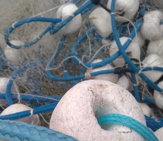 Brasil prorroga hasta fines de 2026 el uso de redes de enmalle de superficie en el estado de San Pablo