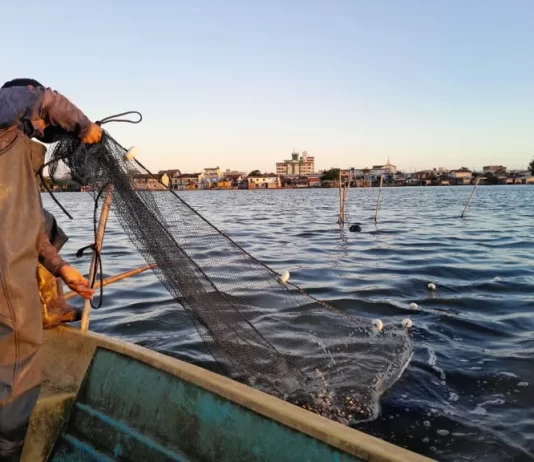 Brasil habilitó la zafra 2026 de camarón en Río Grande do Sul con foco en la pesca artesanal