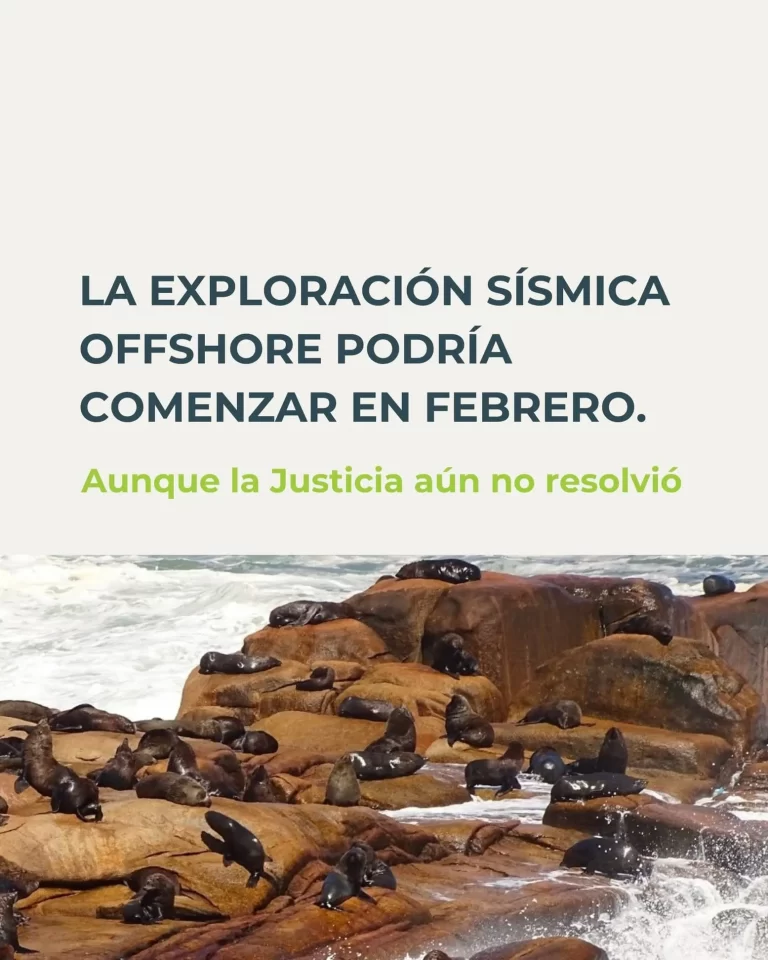 SO.CO.BIO.MA alerta por impactos ambientales ante el posible inicio de la sísmica offshore mientras la Justicia aún no se expidió