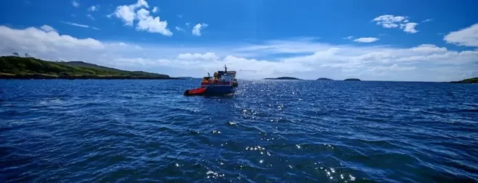 Fotos-para-web-FORMATO-2026-01-13T094528.038-convertido-de-jpg