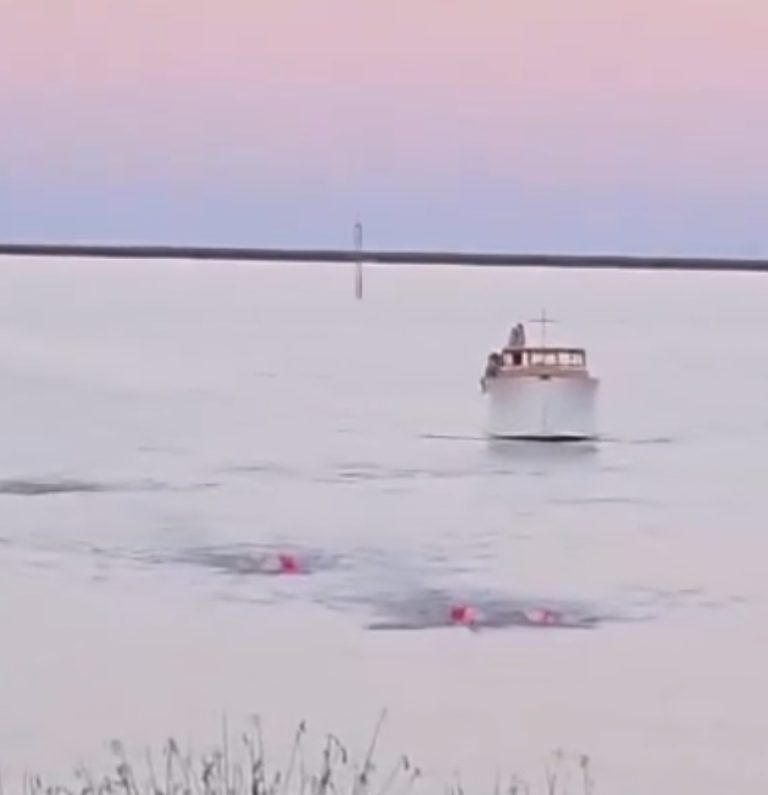 El Río de la Plata tiene una nueva ruta: histórica travesía a nado unió Carmelo con San Isidro