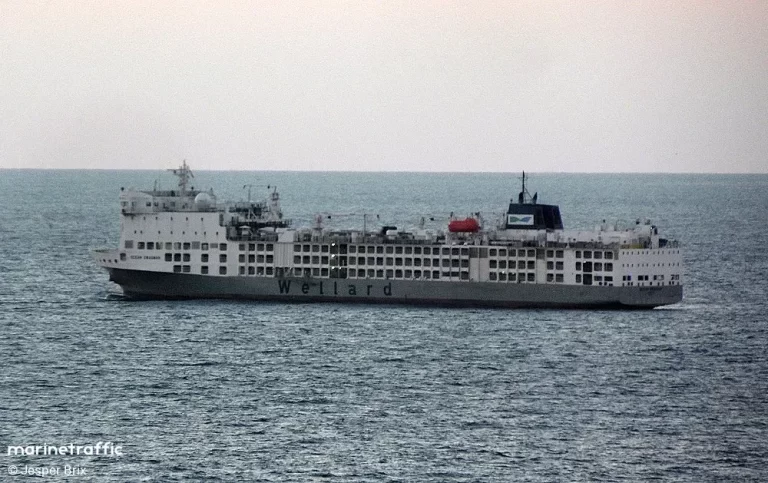 Nuevo buque ganadero arribará al puerto de Montevideo mientras continúan evaluaciones por impacto de olores