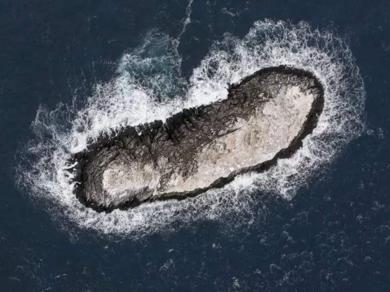 Detectan una isla no cartografiada en la Antártida: será incorporada a cartas náuticas internacionales