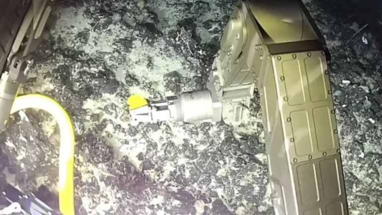 A 1.300 metros bajo la Antártida, un hallazgo revela un ecosistema extremo que desafía los límites de la vida