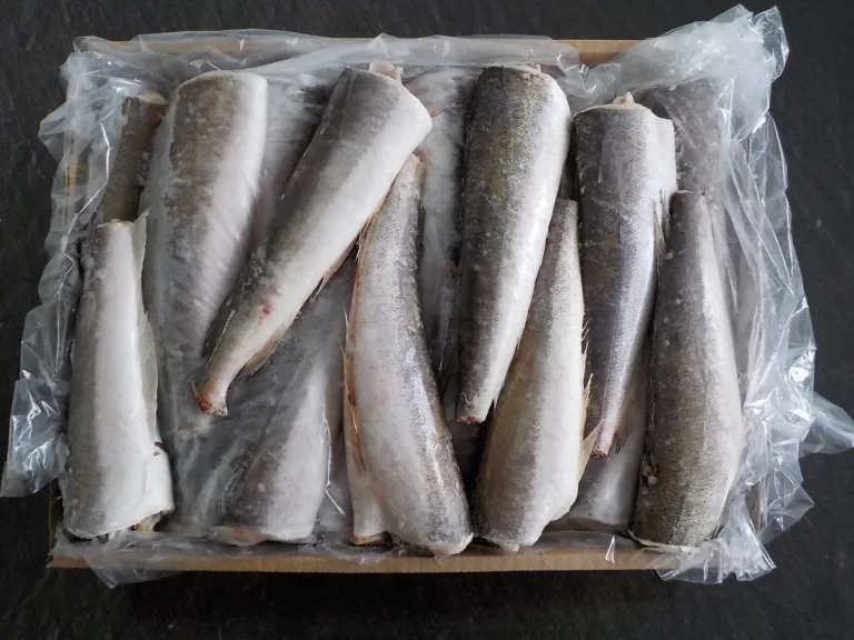 Pesca uruguaya concreta su primera exportación a Europa con arancel cero y abre una nueva etapa comercial