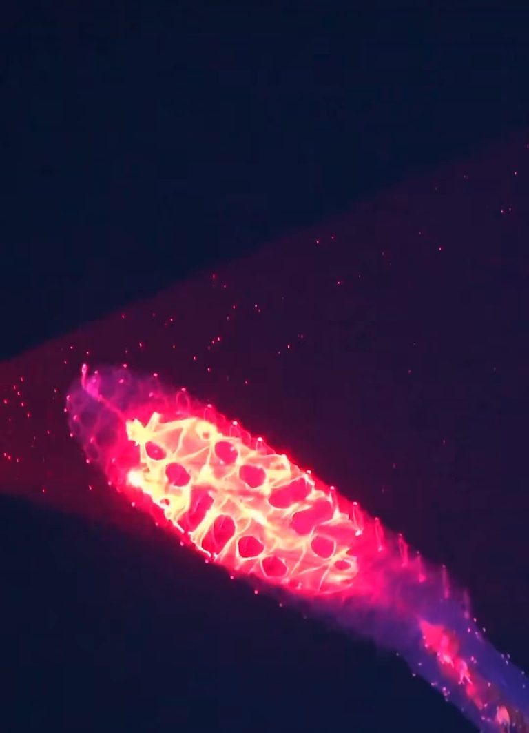 Nueva tecnología de imágenes submarinas permite observar la vida en las profundidades con un nivel de detalle sin precedentes