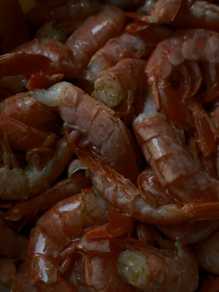 Argentina amplía la producción de colas de langostino a bordo y reabre el debate sobre el procesamiento en tierra