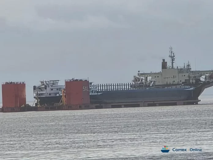 mv luisa-convertido-de-jpg